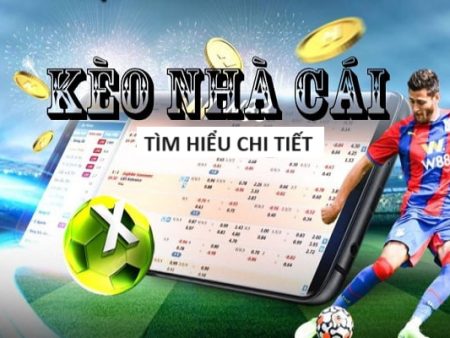 8kbet-Trải nghiệm cược xanh chín tuyệt vời!