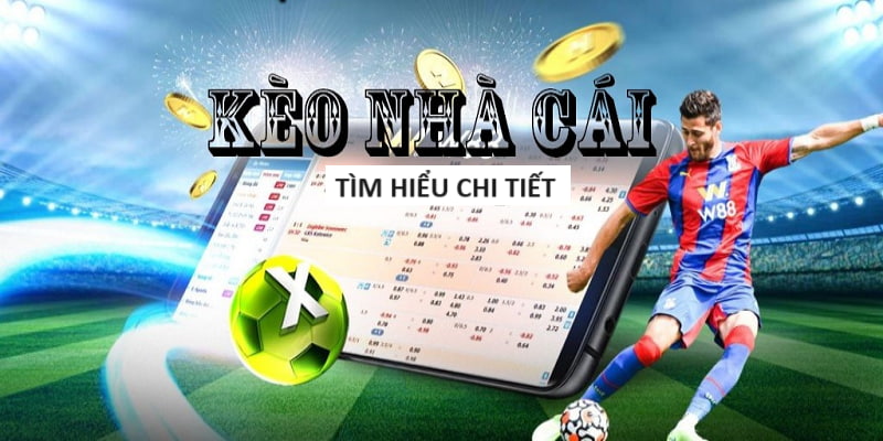 8kbet-Trải nghiệm cược xanh chín tuyệt vời!